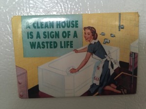 wastedlifecleanhouse